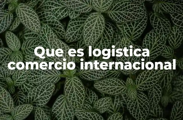 Que es Logistica Comercio Internacional