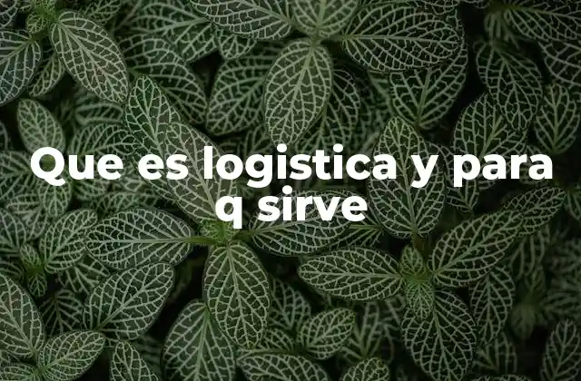 Que es Logistica y para Q Sirve