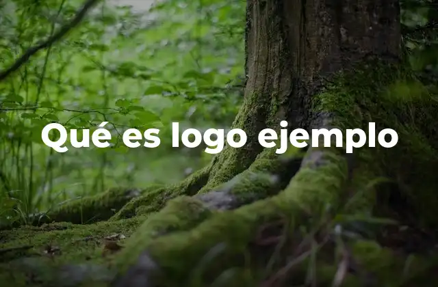 Qué es Logo Ejemplo
