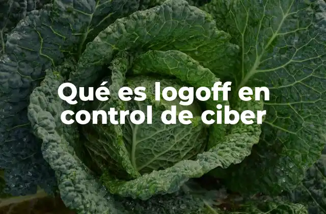 Qué es Logoff en Control de Ciber