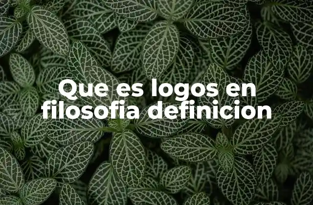 Que es Logos en Filosofia Definicion 2 El logos como base del pensamiento racional