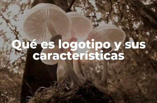 Qué es Logotipo y Sus Características