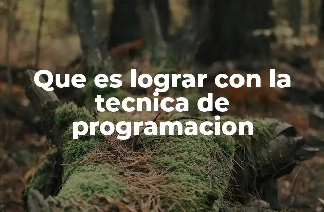 Que es Lograr con la Tecnica de Programacion 2 La programación como herramienta para la innovación