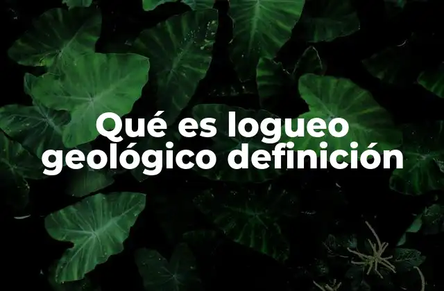 Qué es Logueo Geológico Definición