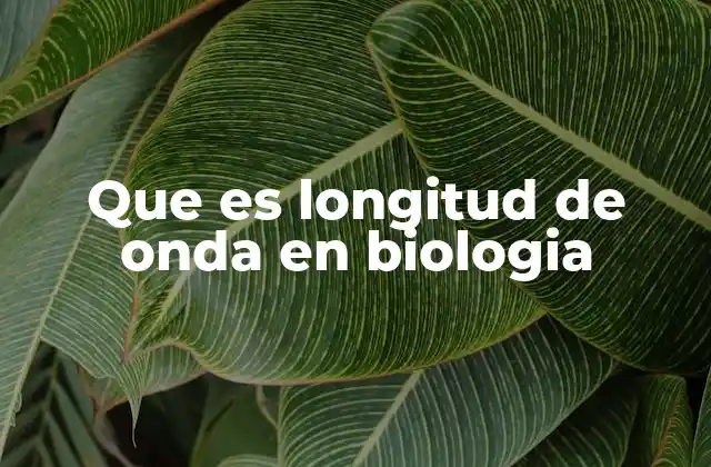 Que es Longitud de Onda en Biologia