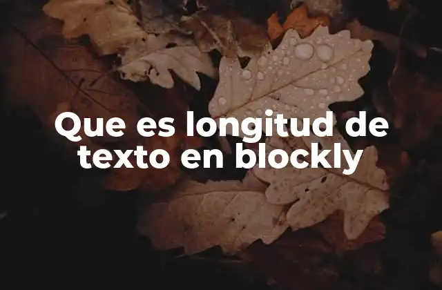 Que es Longitud de Texto en Blockly