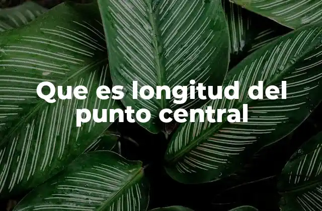 Que es Longitud Del Punto Central