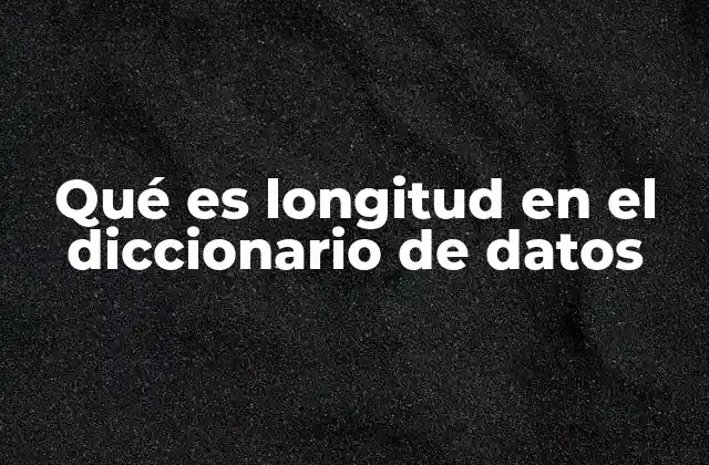 Qué es Longitud en el Diccionario de Datos 2 La importancia de definir la longitud en campos de datos