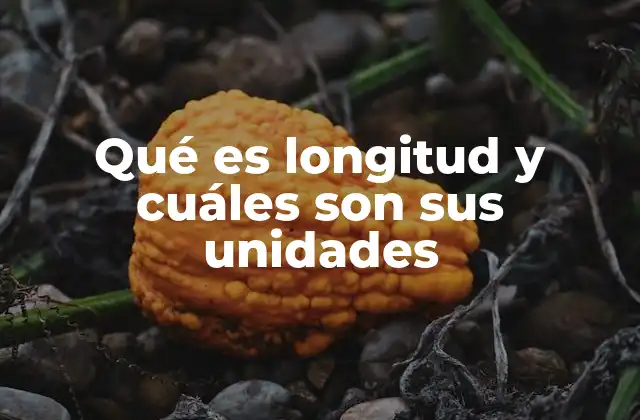 Qué es Longitud y Cuáles Son Sus Unidades