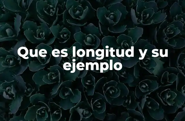 Que es Longitud y Su Ejemplo