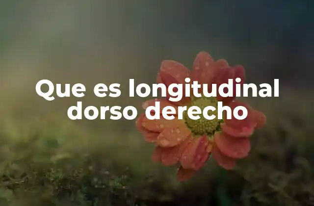 La importancia de las referencias anatómicas en la medicina