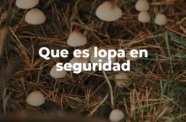 Que es Lopa en Seguridad