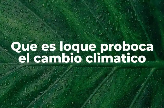 Factores que influyen en la variabilidad climática a nivel global