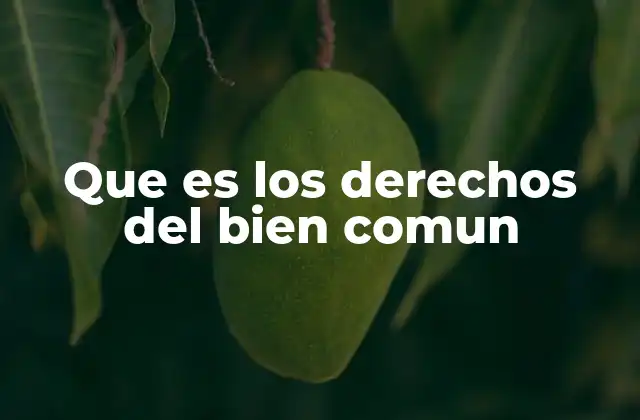 Que es los Derechos Del Bien Comun
