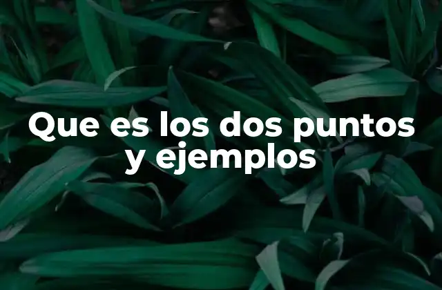 Que es los Dos Puntos y Ejemplos