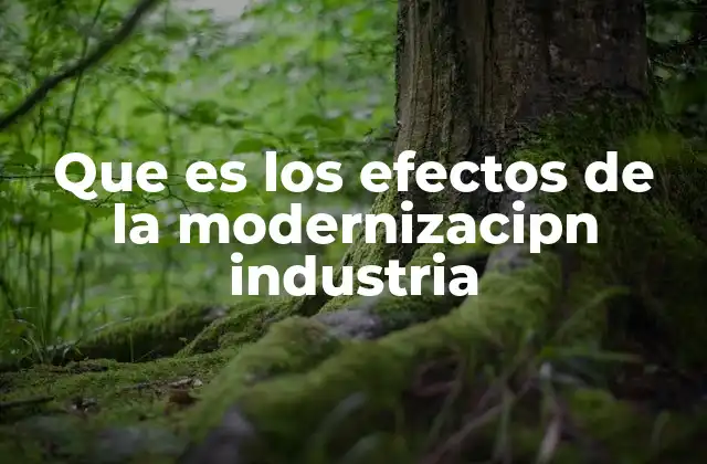 Que es los Efectos de la Modernizacipn Industria