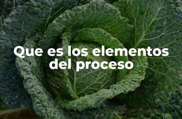 Que es los Elementos Del Proceso