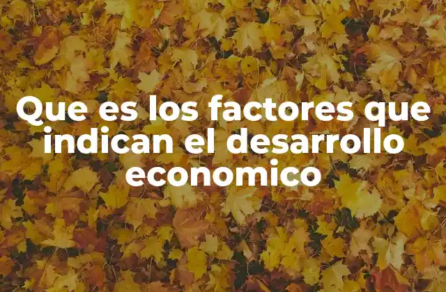 Que es los Factores que Indican el Desarrollo Economico