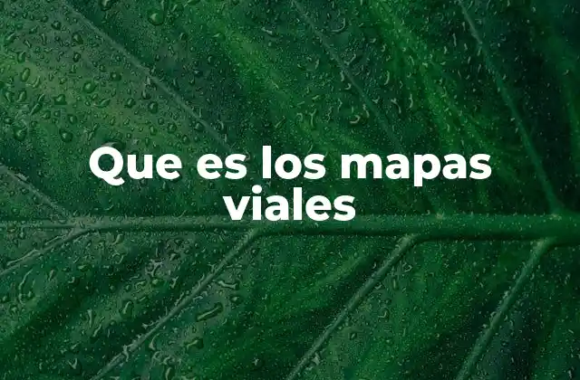 Que es los Mapas Viales