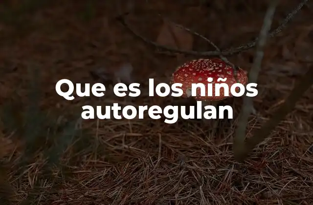 Que es los Niños Autoregulan