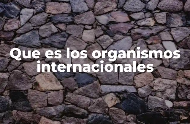 Que es los Organismos Internacionales