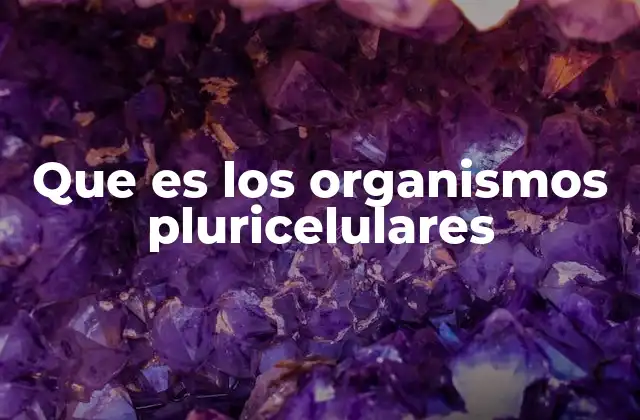 Que es los Organismos Pluricelulares