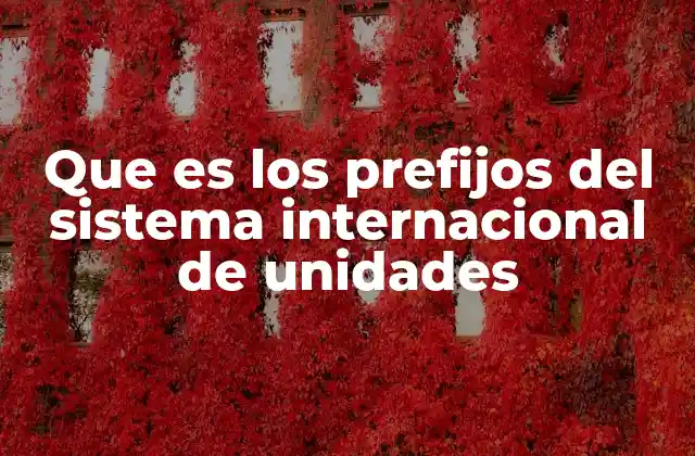 Que es los Prefijos Del Sistema Internacional de Unidades