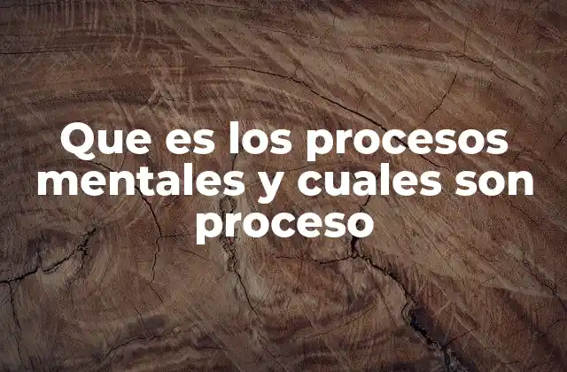 La base biológica de los procesos mentales