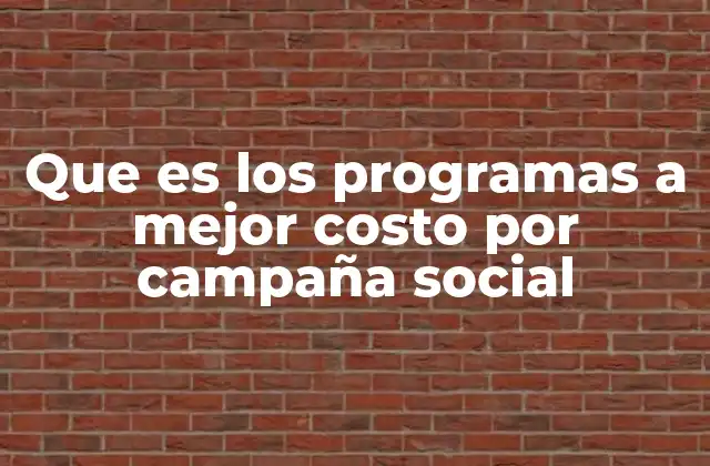 Que es los Programas a Mejor Costo por Campaña Social