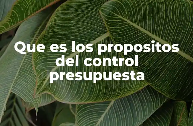 Que es los Propositos Del Control Presupuesta