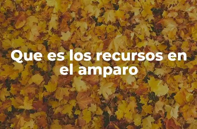 Que es los Recursos en el Amparo