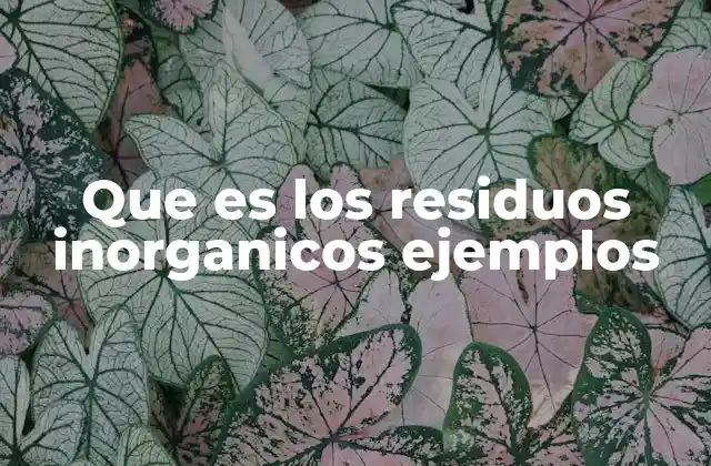 Que es los Residuos Inorganicos Ejemplos