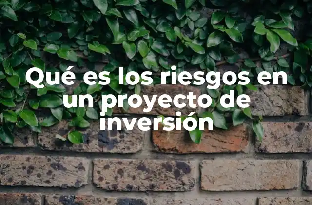 Factores que influyen en la aparición de riesgos en un proyecto de inversión