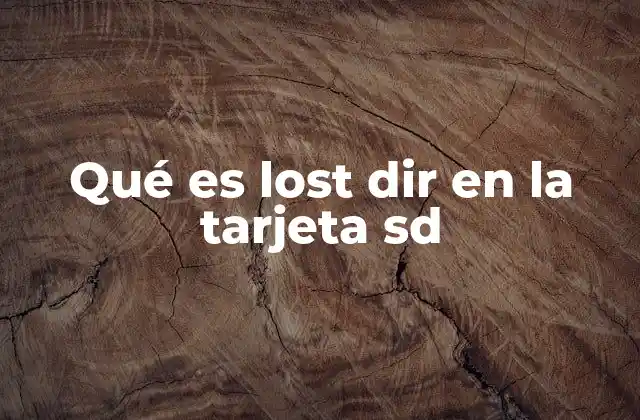 Causas comunes de la aparición de lost dir en tarjetas SD