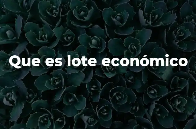 Que es Lote Económico
