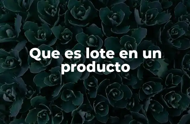 Que es Lote en un Producto