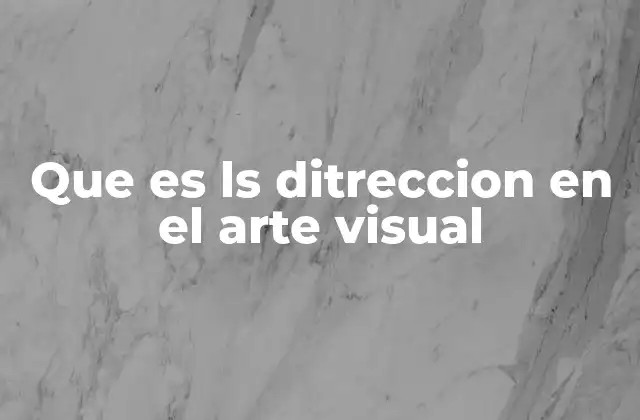 Que es Ls Ditreccion en el Arte Visual