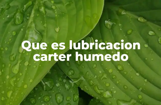 Que es Lubricacion Carter Humedo