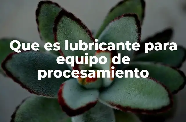 Importancia del uso correcto de lubricantes en procesos industriales