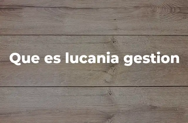 Que es Lucania Gestion