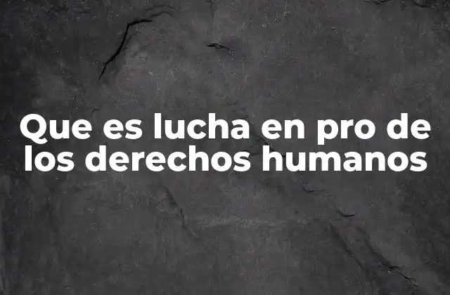 Que es Lucha en Pro de los Derechos Humanos