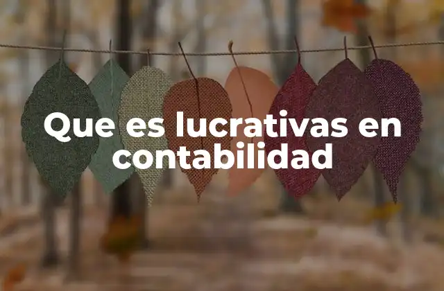Que es Lucrativas en Contabilidad