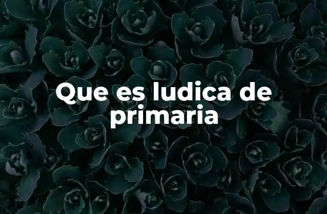 La importancia de la ludica en el aula