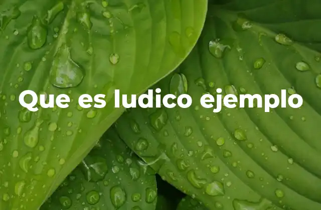 El juego como expresión lúdica en la sociedad moderna