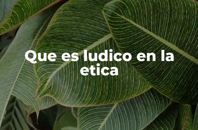 Que es Ludico en la Etica