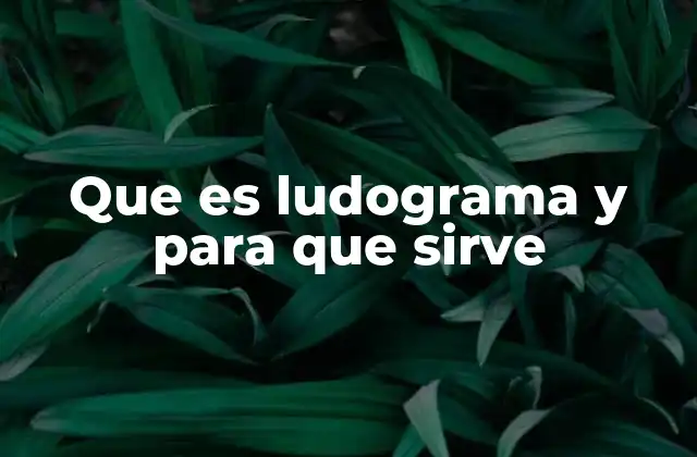 Que es Ludograma y para que Sirve