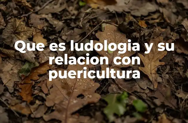 Que es Ludologia y Su Relacion con Puericultura