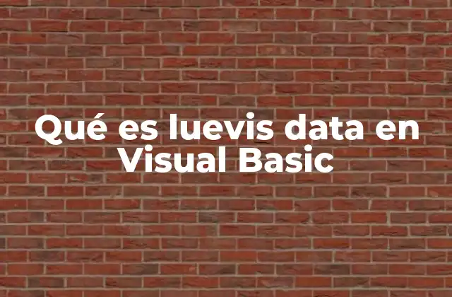 Qué es Luevis Data en Visual Basic