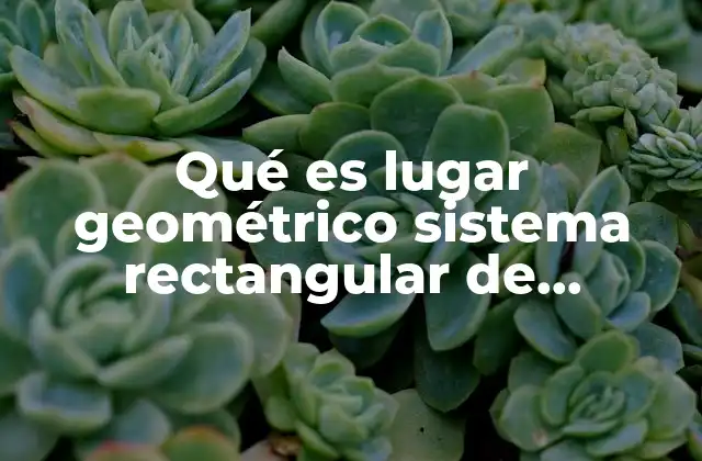 Qué es Lugar Geométrico Sistema Rectangular de Cadenas