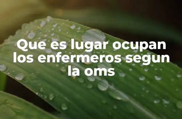 Que es Lugar Ocupan los Enfermeros Segun la Oms